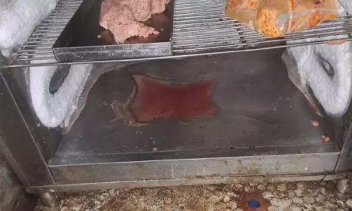 त्योहारों से पहले FDA का बड़ा एक्शन 50 टन खाद्य सामग्री जब्त त्योहारों से पहले FDA का बड़ा एक्शन 50 टन खाद्य सामग्री जब्त