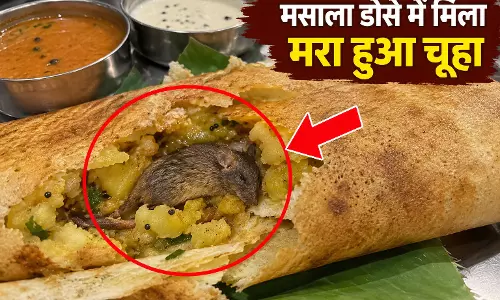 मसाला डोसे में मिला मरा हुआ चूहा, बोरिवली के रेस्टोरेंट का वीडियो वायरल