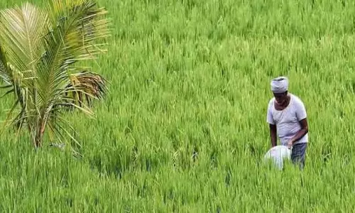 किसान आईडी पंजीकरण में राजस्थान ने छुआ 90.19 लाख का आंकड़ा किसान आईडी पंजीकरण में राजस्थान ने छुआ 90.19 लाख का आंकड़ा