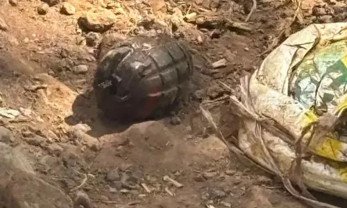 नालागढ़ के माजरा गांव में ग्रेनेडनुमा संदिग्ध वस्तु मिलने से हड़कंप, क्षेत्र सील नालागढ़ के माजरा गांव में ग्रेनेडनुमा संदिग्ध वस्तु मिलने से हड़कंप, क्षेत्र सील