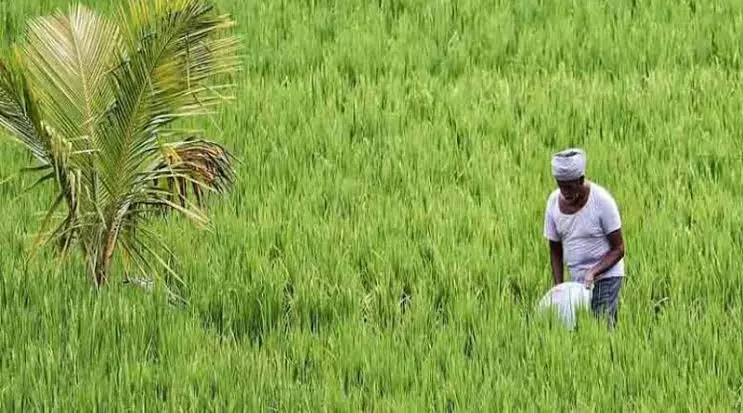 किसान आईडी पंजीकरण में राजस्थान ने छुआ 90.19 लाख का आंकड़ा किसान आईडी पंजीकरण में राजस्थान ने छुआ 90.19 लाख का आंकड़ा