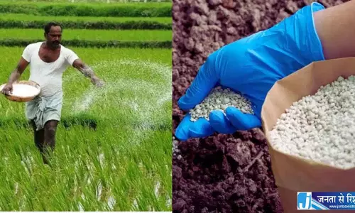 रबी सीजन से पहले किसानों को राहत, खाद संकट से निपटने की तैयारी