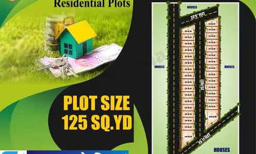 दिल्ली में प्लॉट जानकारी देखना हुआ आसान दिल्ली में प्लॉट जानकारी देखना हुआ आसान