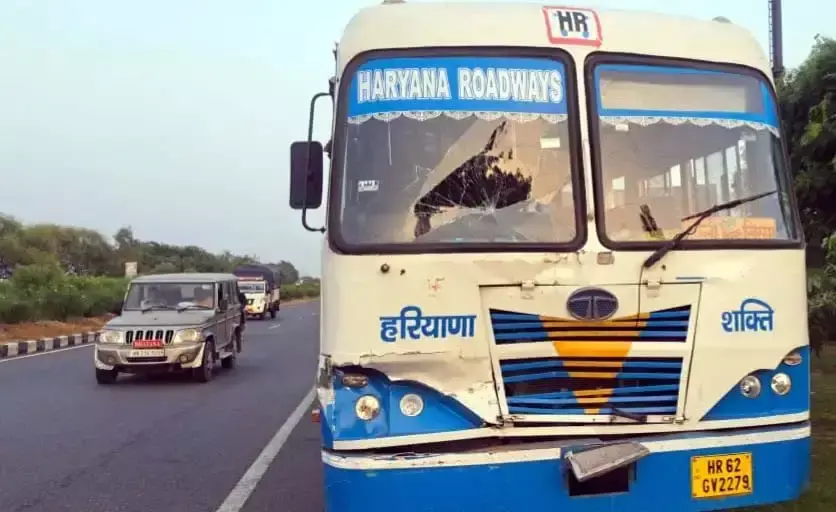 आवारा पशु को बचाने की कोशिश में हांसी में तीन वाहन टकराए