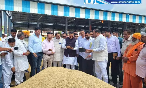 हरियाणा मंडियों में धीमी पड़ी धान खरीद