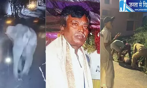 बेंगलुरु में दहशत बना जंगली हाथी जंगल लौटाया गया, ड्रोन से चला ऑपरेशन