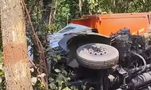 पेंड्रा-बिलासपुर मार्ग पर कोयला लोड ट्रेलर पलटा, पेड़ से टकराने के बाद चालक घायल