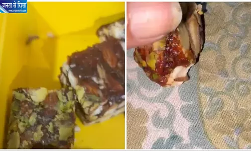 पुणे में मिठाई के डिब्बे में कीड़े मिलने का आरोप, महिला ने उठाए फूड सेफ्टी पर सवाल पुणे में मिठाई के डिब्बे में कीड़े मिलने का आरोप, महिला ने उठाए फूड सेफ्टी पर सवाल