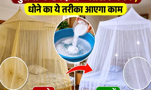 पुरानी मच्छरदानी में लौटाएं चमक धोने का ये तरीका आएगा काम पुरानी मच्छरदानी में लौटाएं चमक धोने का ये तरीका आएगा काम