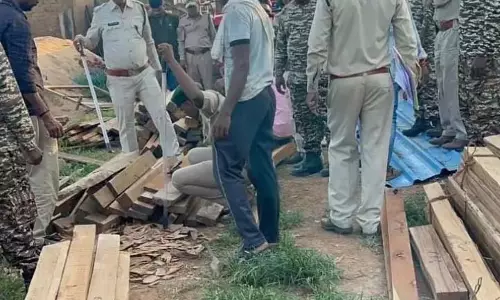 पैलीमेटा में सरपंच के घर वन विभाग की दबिश, 95 हजार का सागौन चिरान जब्त