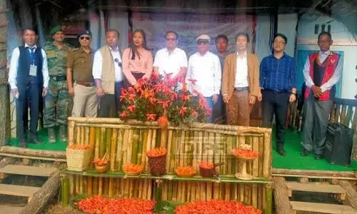 न्यू पुइलवा गांव में नागा किंग चिली फेस्टिवल आयोजित किया