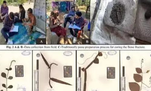 त्रिपुरा अध्ययन: हड्डी जोड़ने वाले 67 औषधीय पौधे चिन्हित त्रिपुरा अध्ययन: हड्डी जोड़ने वाले 67 औषधीय पौधे चिन्हित