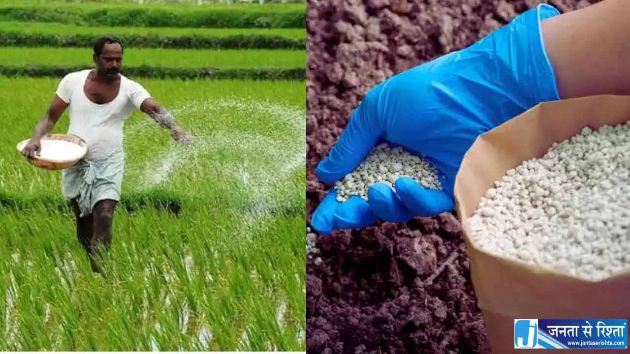 रबी सीजन से पहले किसानों को राहत, खाद संकट से निपटने की तैयारी रबी सीजन से पहले किसानों को राहत, खाद संकट से निपटने की तैयारी