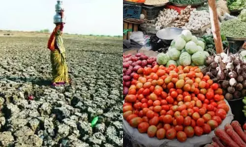 जलवायु परिवर्तन से महंगा हो रहा खाना, कॉफी से सब्जियों तक कीमतों पर असर जलवायु परिवर्तन से महंगा हो रहा खाना, कॉफी से सब्जियों तक कीमतों पर असर