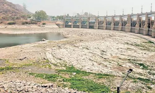 तमिलनाडु: बांधों में जलस्तर गिरकर 34 प्रतिशत हुआ; पीने के पानी को लेकर चिंता बढ़ी
