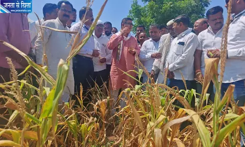 धुले में सूखे जैसे हालात, प्रभारी मंत्री जयकुमार रावल ने खेतों का किया दौरा धुले में सूखे जैसे हालात, प्रभारी मंत्री जयकुमार रावल ने खेतों का किया दौरा