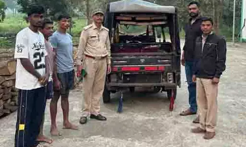 सुकमा में काष्ठ तस्करी पर वन विभाग की कार्रवाई, 48 नग लकड़ी और ऑटो जब्त सुकमा में काष्ठ तस्करी पर वन विभाग की कार्रवाई, 48 नग लकड़ी और ऑटो जब्त