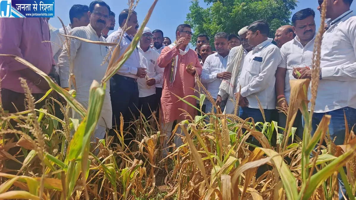 धुले में सूखे जैसे हालात, प्रभारी मंत्री जयकुमार रावल ने खेतों का किया दौरा धुले में सूखे जैसे हालात, प्रभारी मंत्री जयकुमार रावल ने खेतों का किया दौरा