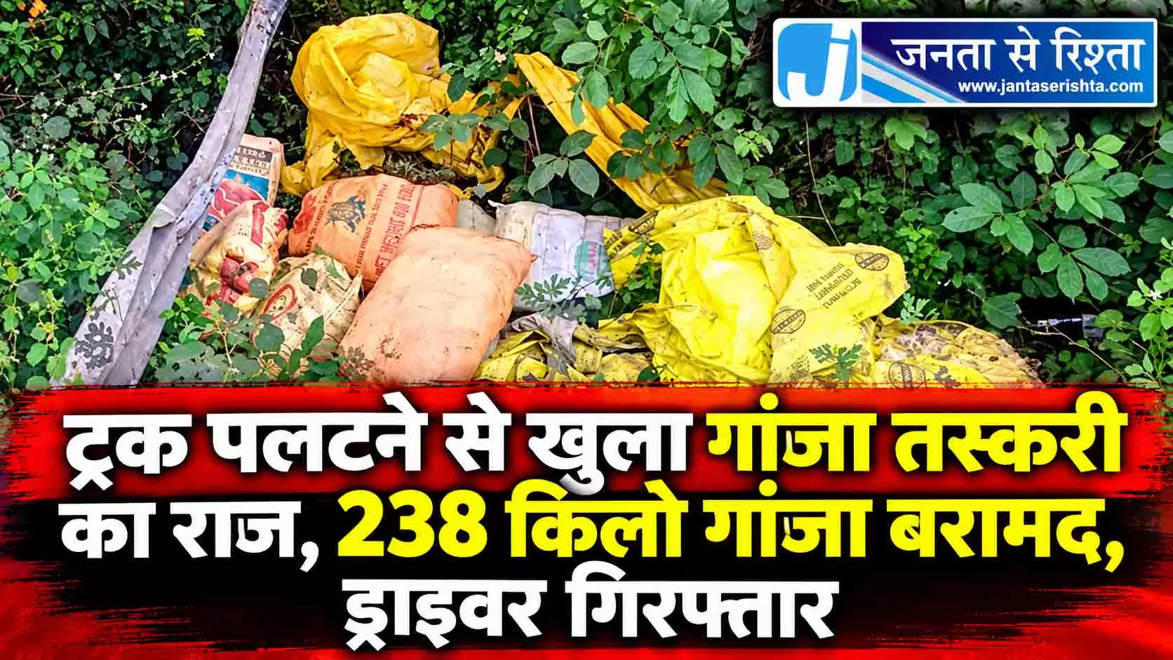 ट्रक पलटने से खुला गांजा तस्करी का राज, 238 किलो गांजा बरामद, ड्राइवर गिरफ्तार ट्रक पलटने से खुला गांजा तस्करी का राज, 238 किलो गांजा बरामद, ड्राइवर गिरफ्तार