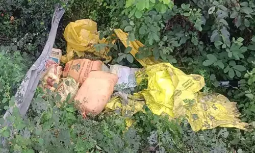 छत्तीसगढ़ में गांजा तस्करी पर बड़ा वार, दो जिलों से 341 KG गांजा जब्त