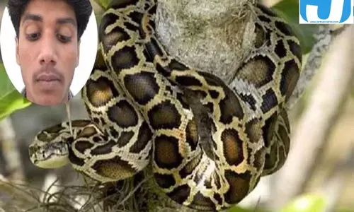 कसती गई अजगर की पकड़, मदद के लिए चीखता रहा 16 वर्षीय किशोर