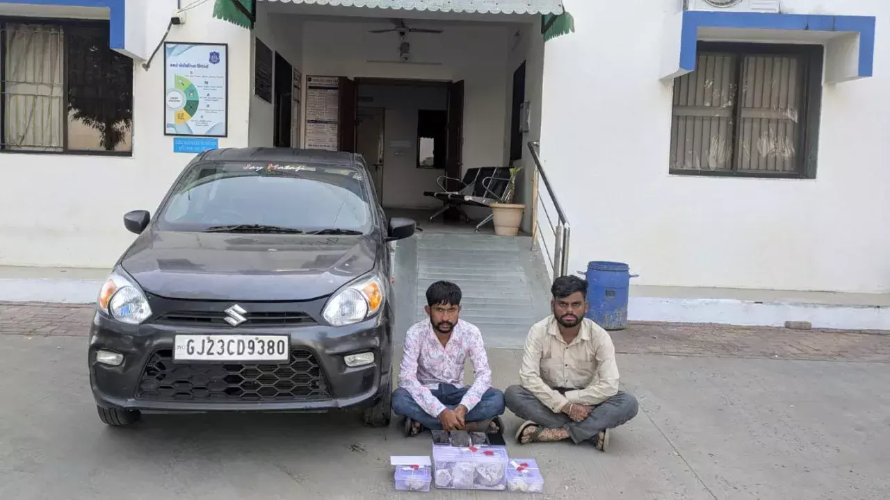 गुजरात: ₹4.35 करोड़ मूल्य की एम्बरग्रीस ज़ब्त, दो आरोपी हिरासत में गुजरात: ₹4.35 करोड़ मूल्य की एम्बरग्रीस ज़ब्त, दो आरोपी हिरासत में