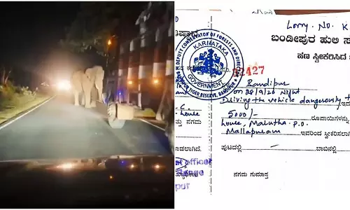 बांदीपुर में हाथी की ओर खतरनाक तरीके से लॉरी चलाने पर ड्राइवर पर 5 हजार जुर्माना बांदीपुर में हाथी की ओर खतरनाक तरीके से लॉरी चलाने पर ड्राइवर पर 5 हजार जुर्माना