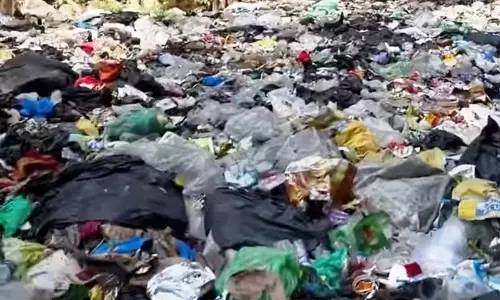 बजौरा पंचायत में कचरा प्रबंधन अटका बजौरा पंचायत में कचरा प्रबंधन अटका