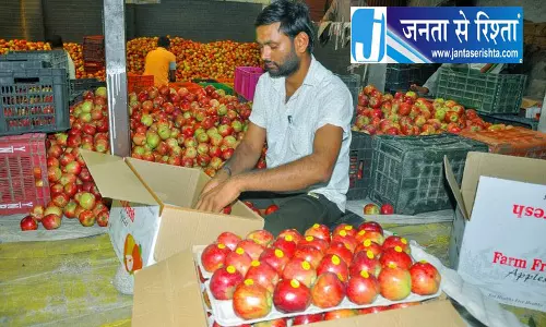 शिमला में कमीशन एजेंटों पर 6 लाख का जुर्माना शिमला में कमीशन एजेंटों पर 6 लाख का जुर्माना