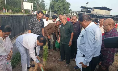 गांधी जयंती पर औद्योगिक क्षेत्र कोरबा में लगाए गए लगभग 100 पौधे गांधी जयंती पर औद्योगिक क्षेत्र कोरबा में लगाए गए लगभग 100 पौधे