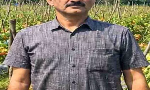 उन्नत टमाटर की खेती से शाहिद की मेहनत लाई रंग, 2 एकड़ में कमाए 1.20 लाख रुपए