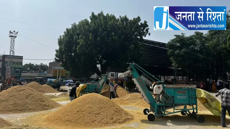 सिरसा मंडियों में धान के ढेर सिरसा मंडियों में धान के ढेर