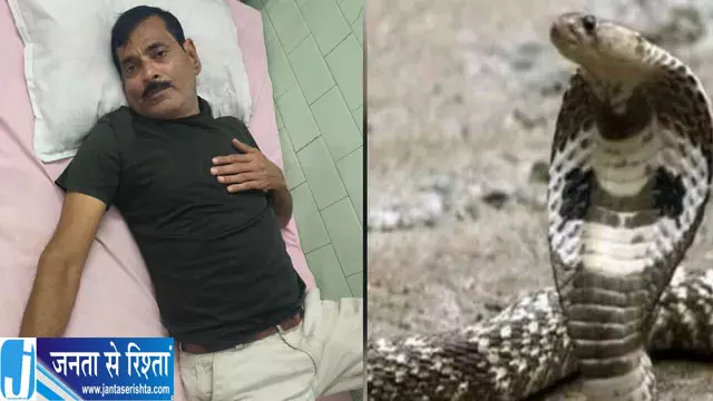चलती बाइक पर सांप ने युवक की जांघ में काटा, जिला अस्पताल में भर्ती चलती बाइक पर सांप ने युवक की जांघ में काटा, जिला अस्पताल में भर्ती