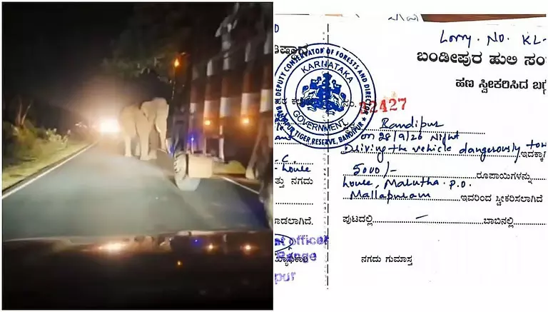 बांदीपुर में हाथी की ओर खतरनाक तरीके से लॉरी चलाने पर ड्राइवर पर 5 हजार जुर्माना बांदीपुर में हाथी की ओर खतरनाक तरीके से लॉरी चलाने पर ड्राइवर पर 5 हजार जुर्माना
