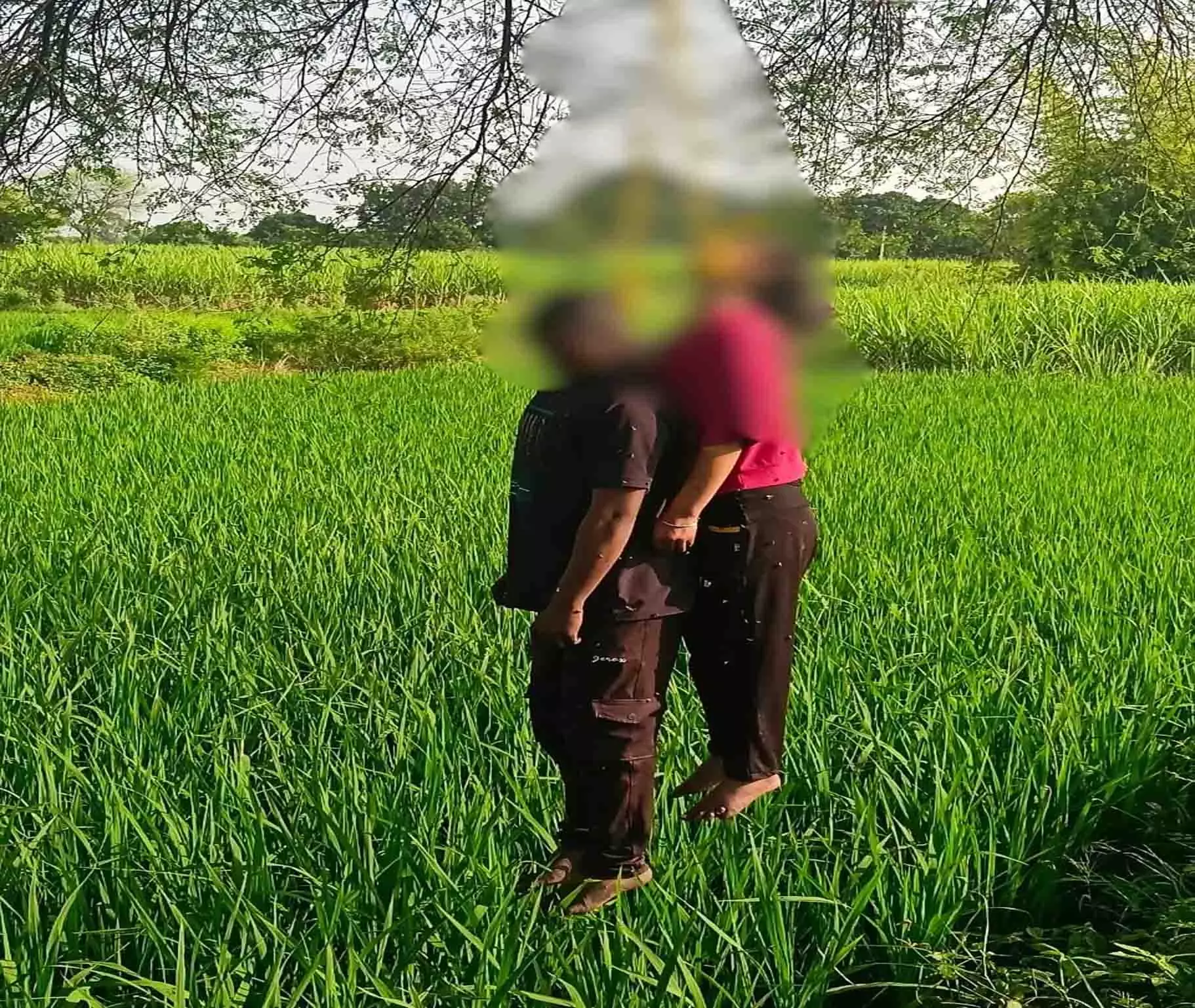 एक ही फंदे पर मिले युवक-युवती के शव, खेत में पेड़ से लटके मिले एक ही फंदे पर मिले युवक-युवती के शव, खेत में पेड़ से लटके मिले