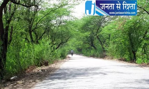 दिल्ली में 277 एकड़ जमीन को मिलेगा वन दर्जा