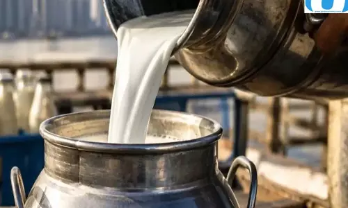 महंगाई का एक और झटका! महाराष्ट्र में दूध की कीमत बढ़ने की आशंका महंगाई का एक और झटका! महाराष्ट्र में दूध की कीमत बढ़ने की आशंका