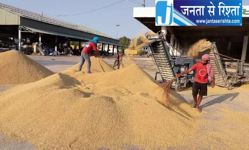 यमुनानगर में 55 करोड़ रुपये का चावल बकाया यमुनानगर में 55 करोड़ रुपये का चावल बकाया