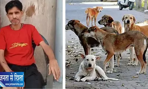 जाजमऊ में दूध लेने जा रहे युवक पर आवारा कुत्तों का हमला, छह कुत्तों ने नोचकर किया घायल