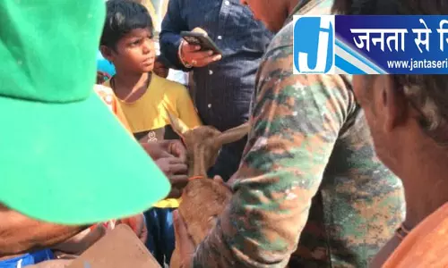 काले हिरण के बच्चे की बचाई जान