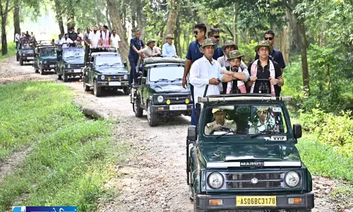 फिर खुला काजीरंगा नेशनल पार्क जीप सफारी का रोमांच शुरू फिर खुला काजीरंगा नेशनल पार्क जीप सफारी का रोमांच शुरू
