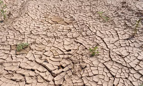 कर्नाटक में सूखे से 46 हजार करोड़ से ज्यादा का नुकसान