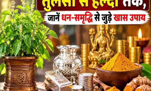 तुलसी से हल्दी तक जानें धन समृद्धि से जुड़े खास उपाय तुलसी से हल्दी तक जानें धन समृद्धि से जुड़े खास उपाय