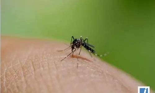 गांधीनगर में एकता दिवस परेड की तैयारी कर रहे 14 जवान डेंगू पॉजिटिव