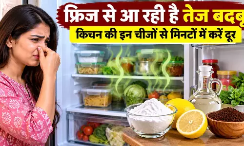 फ्रिज से आ रही है तेज बदबू , किचन की इन चीजों से मिनटों में करें दूर फ्रिज से आ रही है तेज बदबू , किचन की इन चीजों से मिनटों में करें दूर