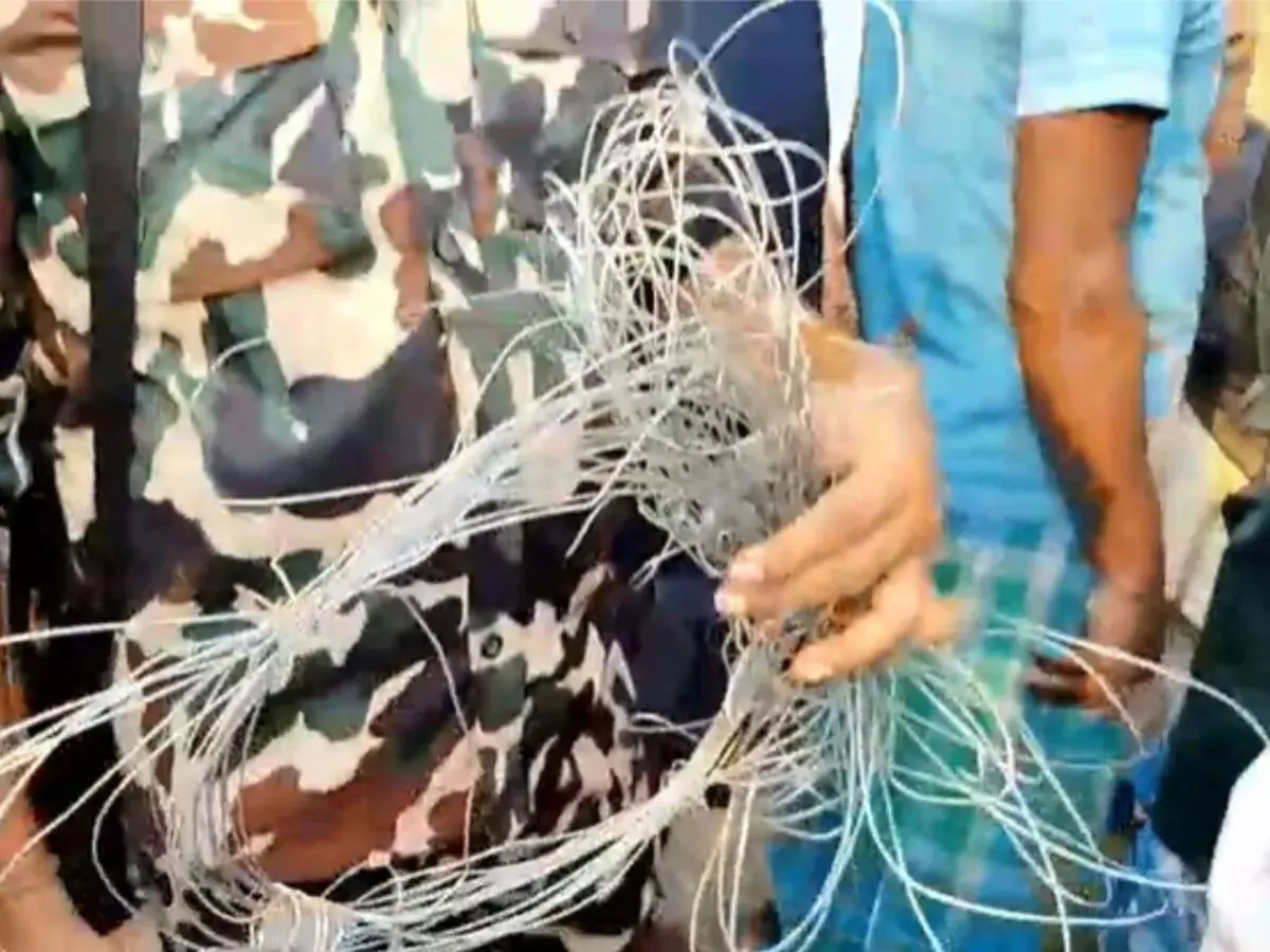 धान के खेत में बिछे नंगे बिजली तार की चपेट में आए 6 लोग, पति-पत्नी समेत तीन की मौत धान के खेत में बिछे नंगे बिजली तार की चपेट में आए 6 लोग, पति-पत्नी समेत तीन की मौत