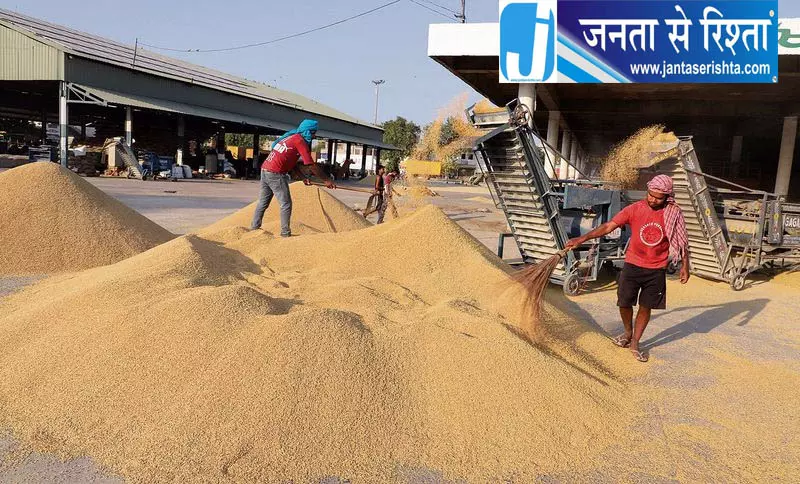 यमुनानगर में 55 करोड़ रुपये का चावल बकाया यमुनानगर में 55 करोड़ रुपये का चावल बकाया