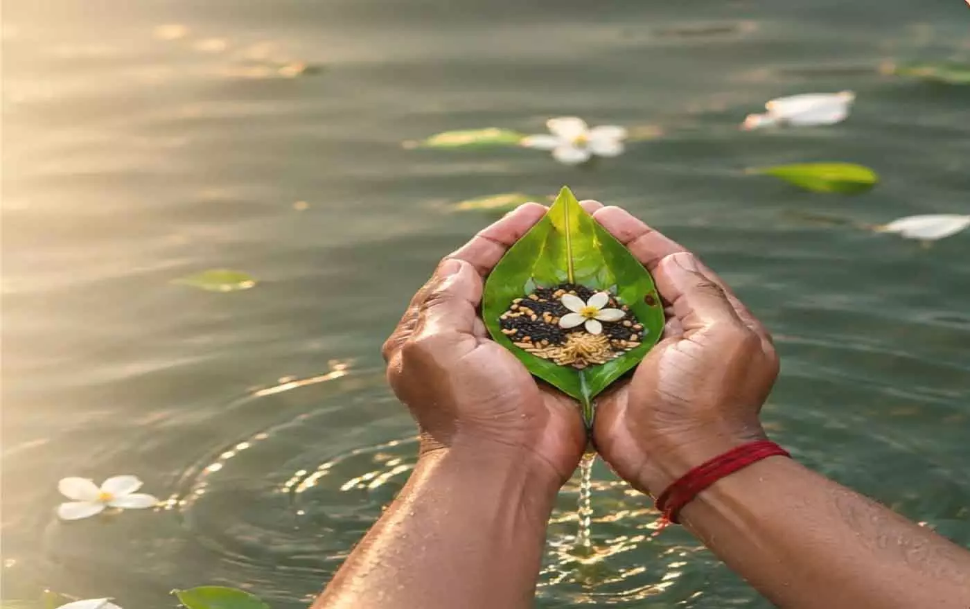 Pitru Paksha 2026 : नर्मदा के दर्शन मात्र से मिलता है पुण्य, स्कंद पुराण के इस श्लोक में बताया गया है अद्भुत महत्व Pitru Paksha 2026 : नर्मदा के दर्शन मात्र से मिलता है पुण्य, स्कंद पुराण के इस श्लोक में बताया गया है अद्भुत महत्व