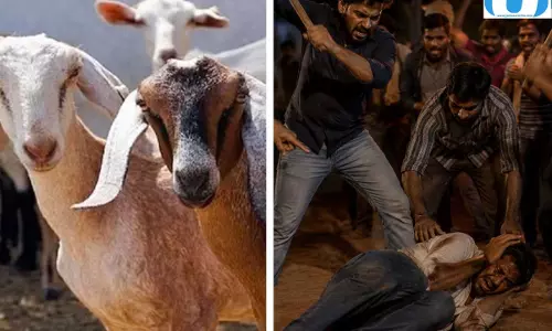 पशु चोरी के शक में दो लोगों की पीट-पीटकर हत्या
