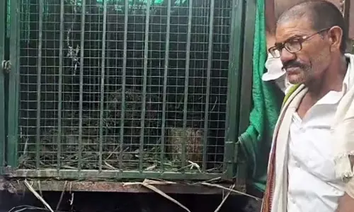 तेंदुए ने किसान पर किया हमला तेंदुए ने किसान पर किया हमला